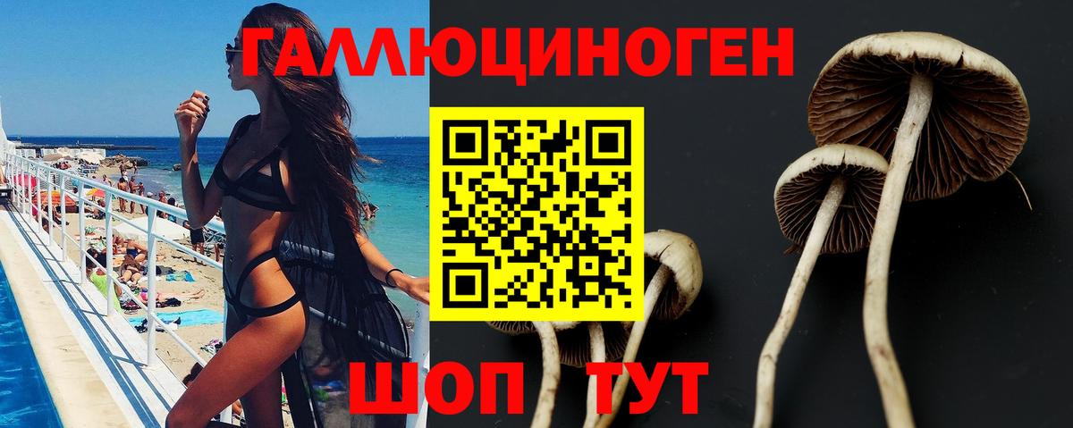 где продают   Вход с VPN  Мурманск  Галлюциногенные грибы Psilocybe 